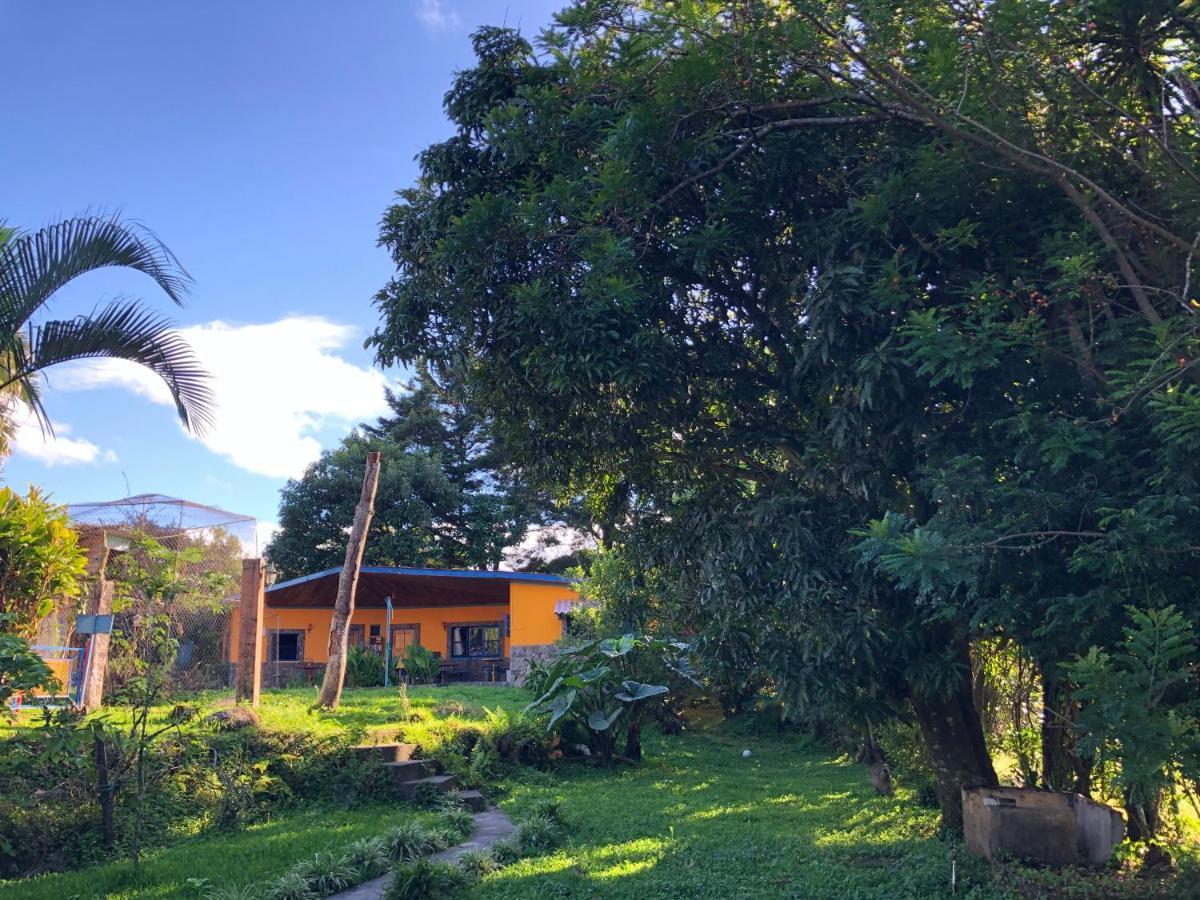 Toopas Hostel Boquete Exterior photo